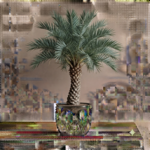 Date Palm