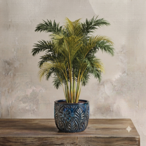 Golden Palm