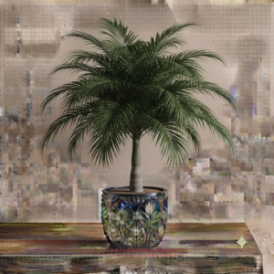 Queen Palm