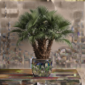 Widmill Palm